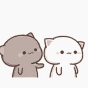 Meet your Posher, Luca